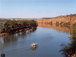 The Mighty Murray River From the 
Cabin/Shack.