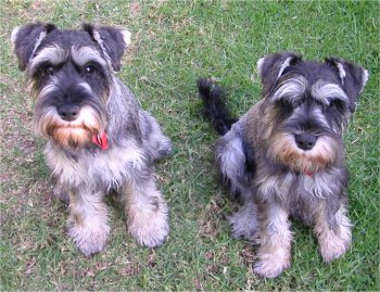 Radar and Ranger